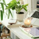 Tips for Creating a Calm and Productive Home Office Environment